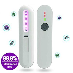Mini UV Sanitizing Wand