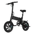 Foldable Electric Bike