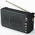 Solar Powered Speaker