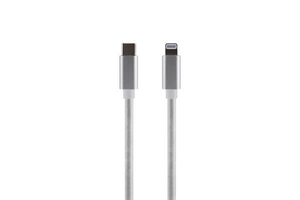 Silver USB-C to Lightning cable.